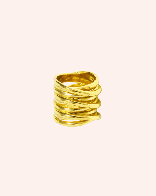 ANILLO SAIL