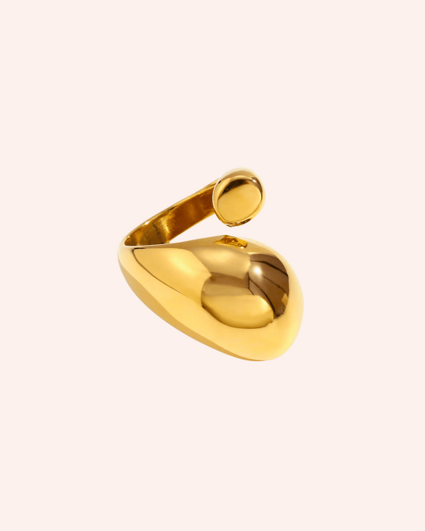 ANILLO LID