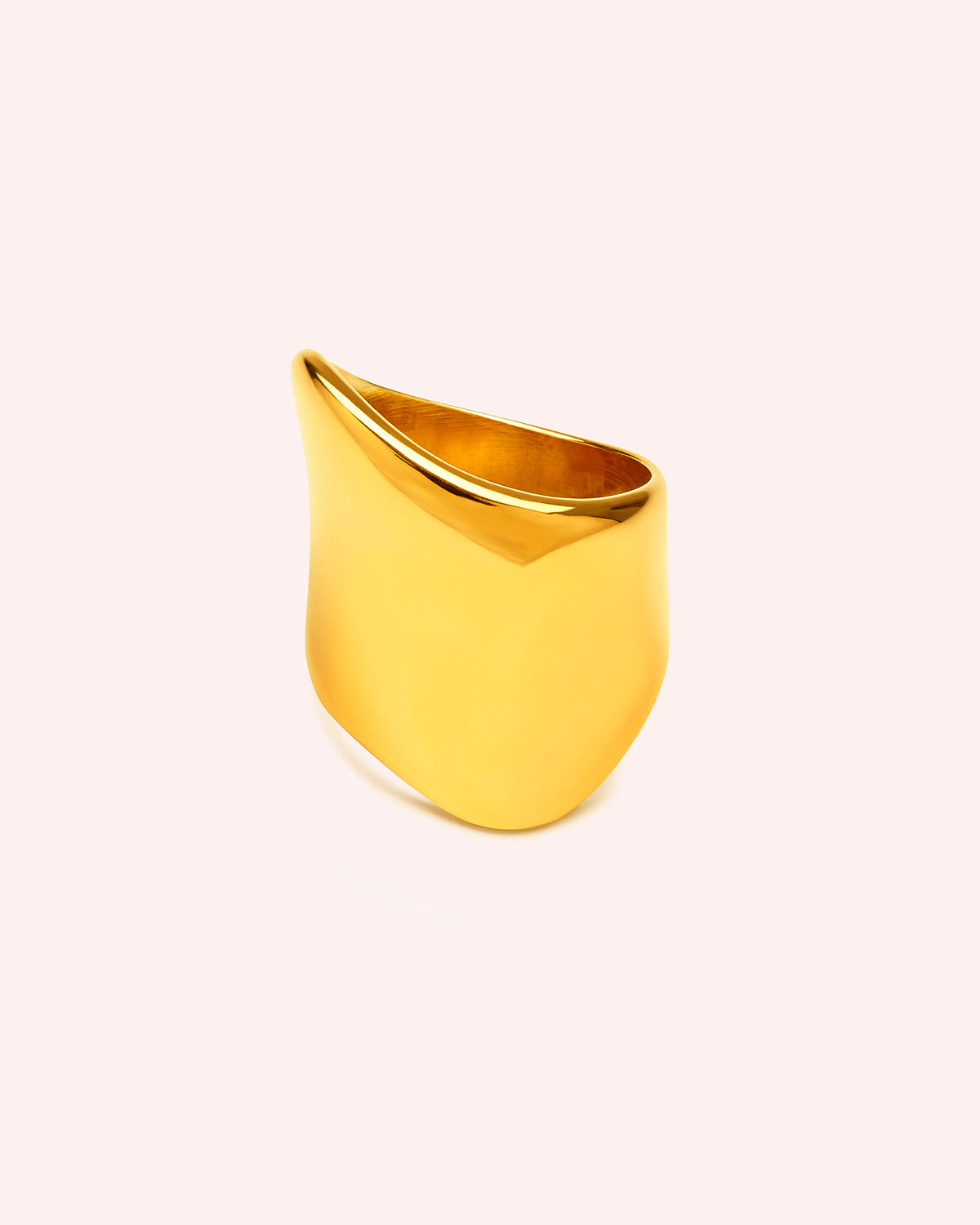 ANILLO FORMS