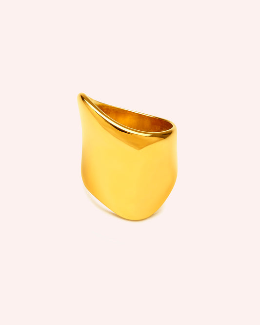 ANILLO FORMS